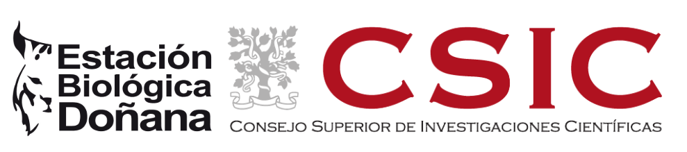 Logo EBD