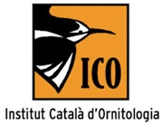 Logo ICO